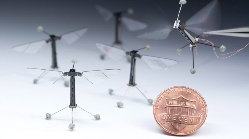 small robotic flying devices resembling insects next to a US one cent coin for size comparison