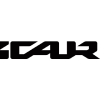 iCAUR Logo