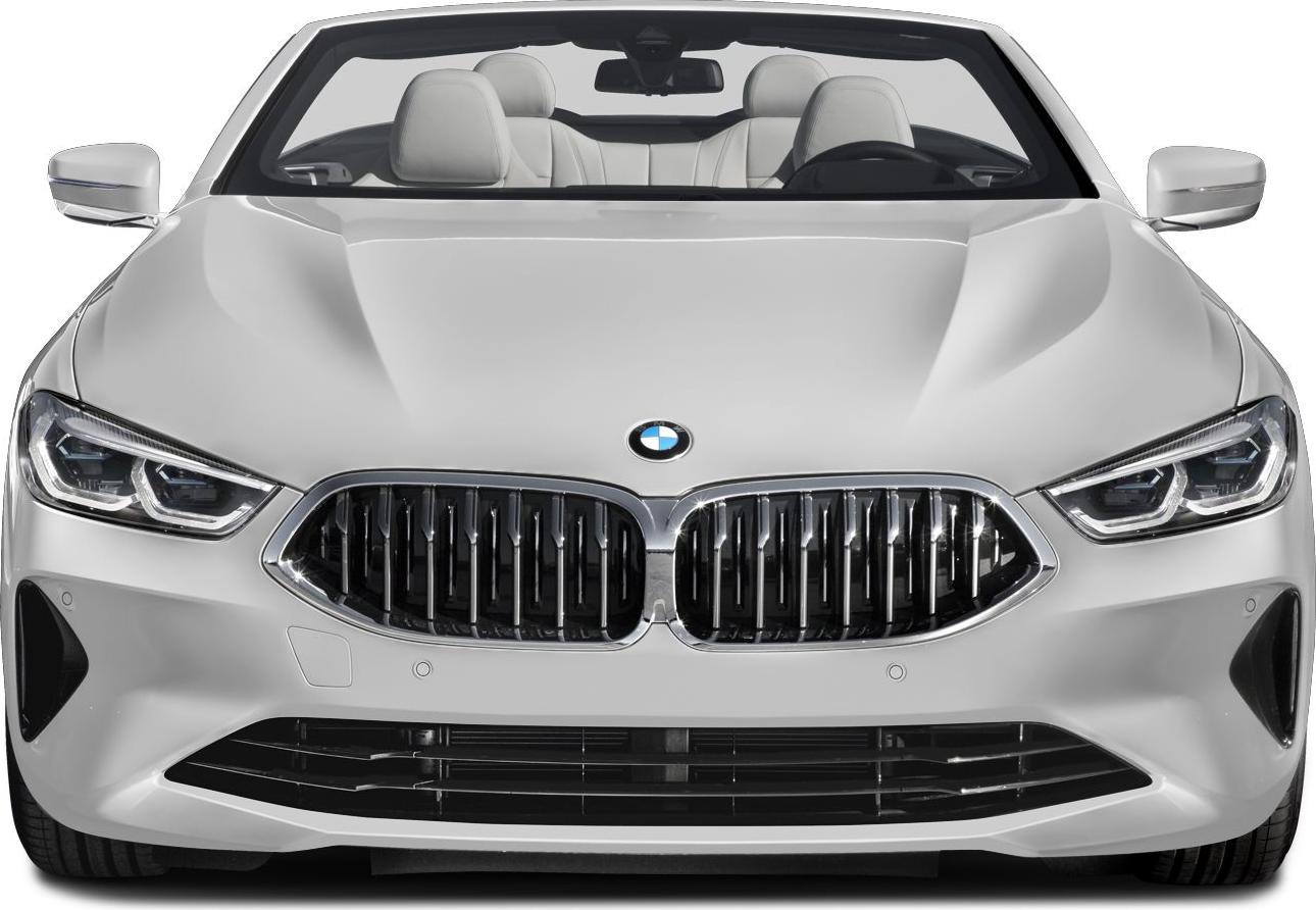 2019 BMW 8 Series Convertible (G14) Front View