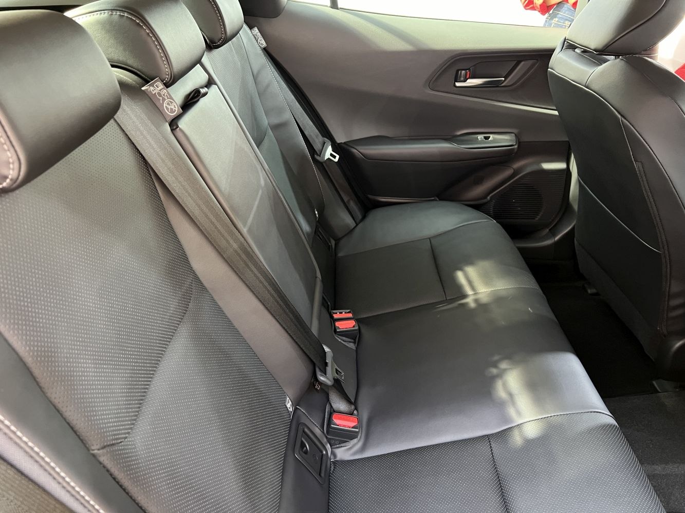 Rear leather seats with seat belts and door panel.