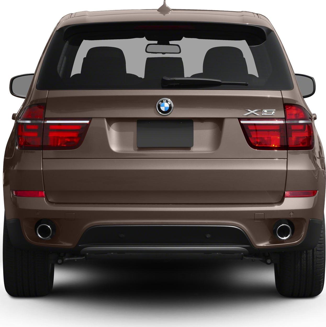 2010 BMW X5 (E70 LCI, facelift 2010) Rear View