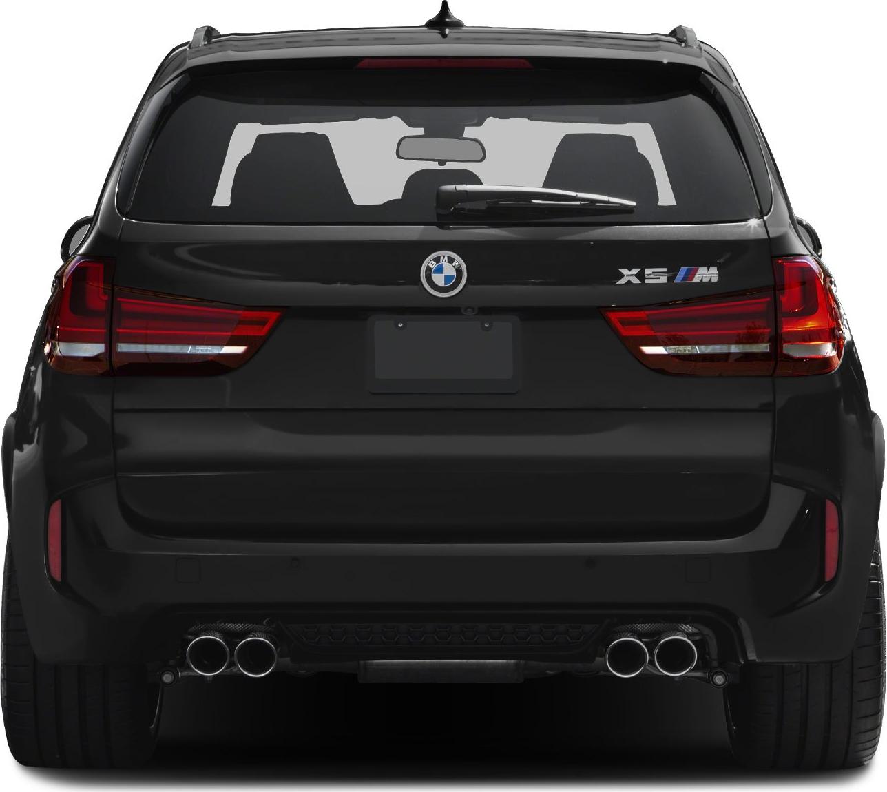 2015 BMW X5 M (F85) Rear View