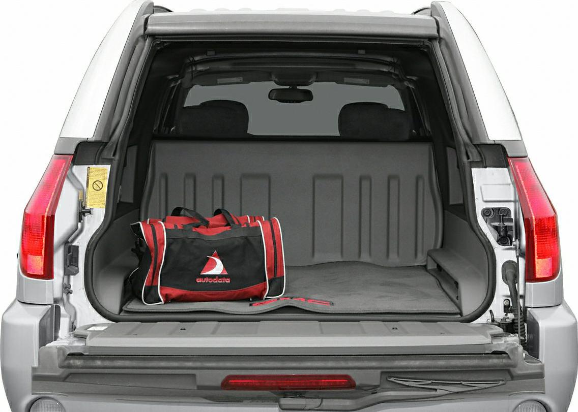 SUV rear cargo space with split tailgate loading area