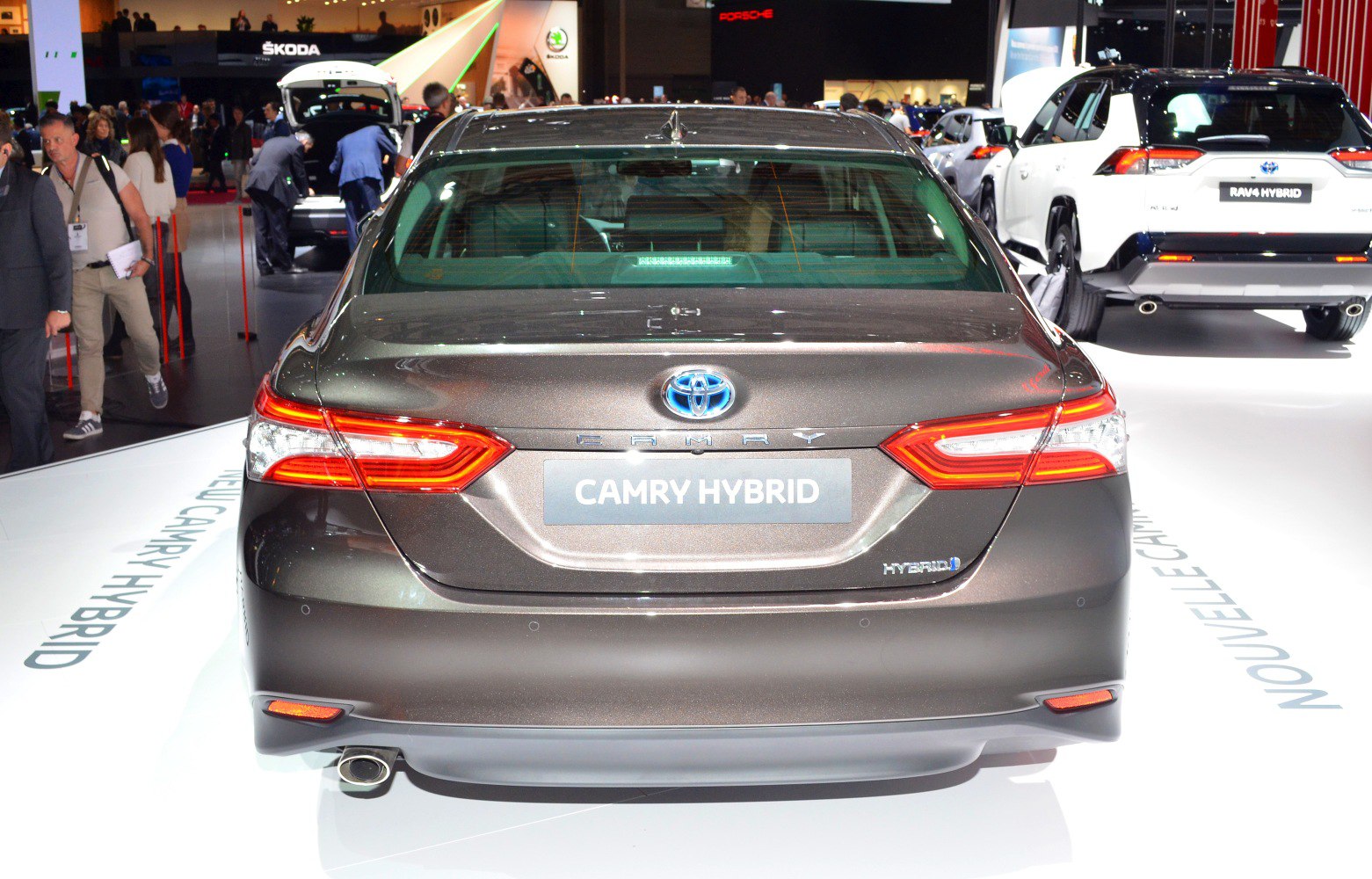 Rear view with distinct tail lights and single exhaust pipe