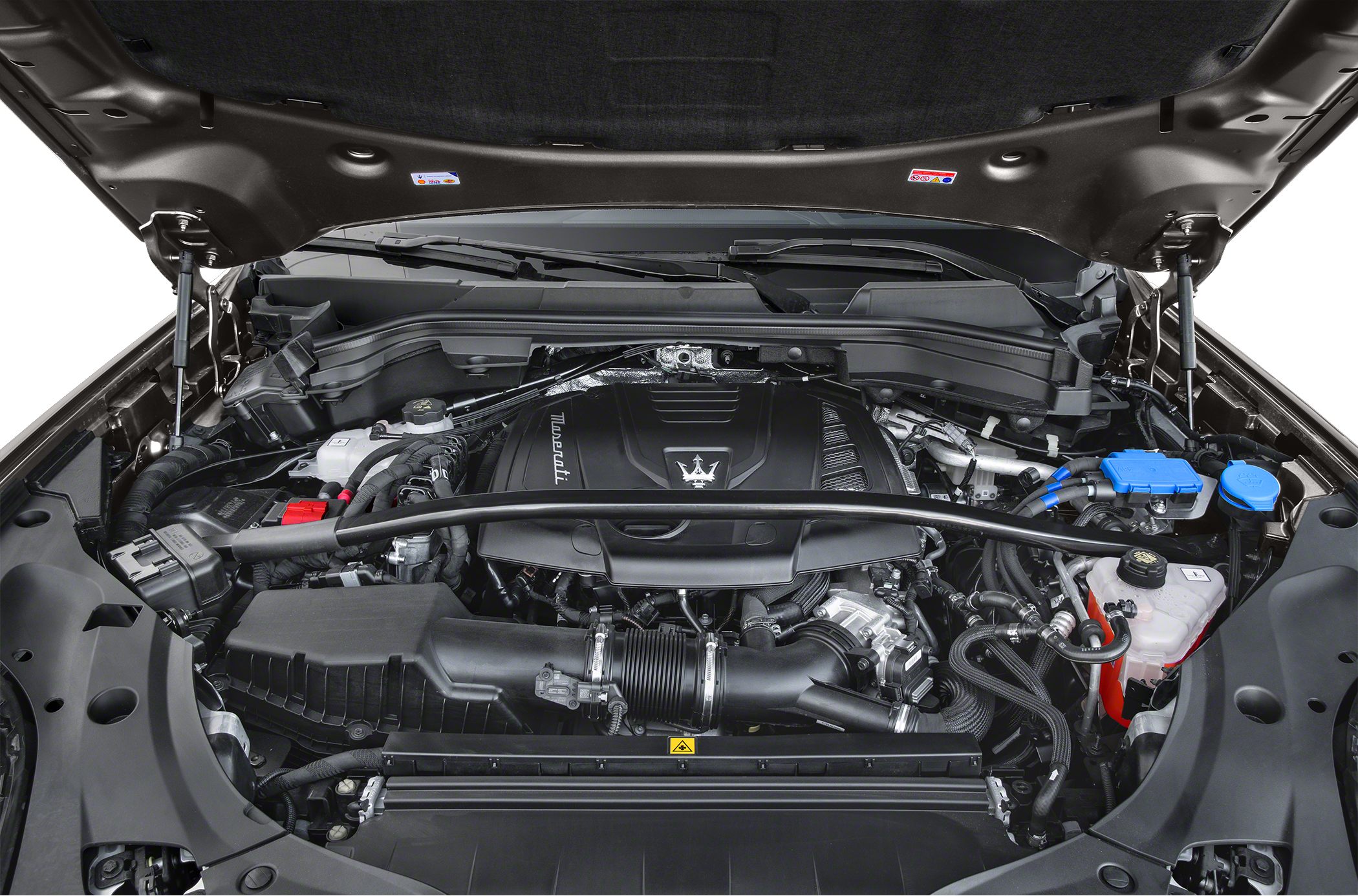 Engine bay with strut brace and branded engine cover