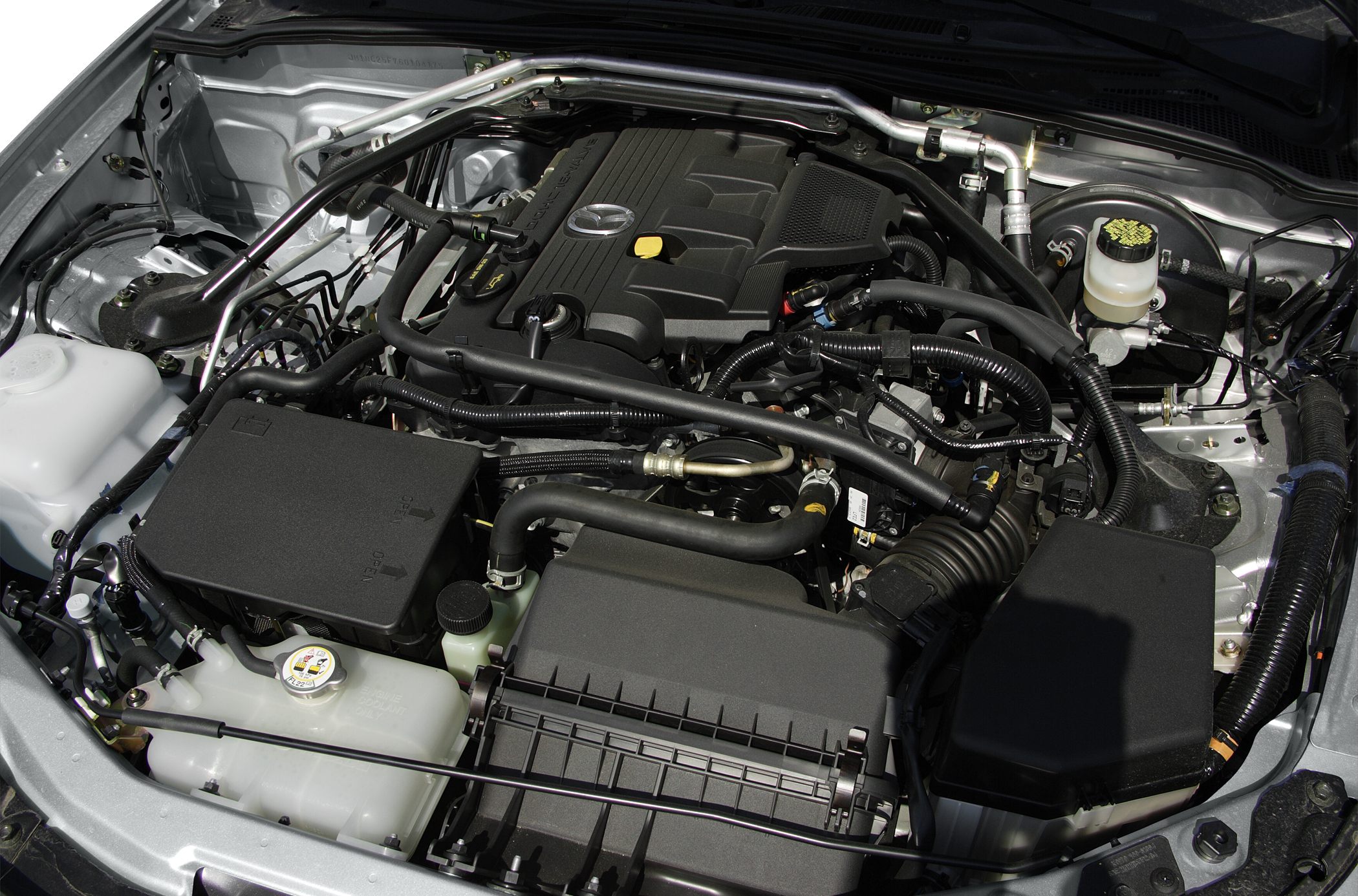 Engine compartment with strut brace and engine cover