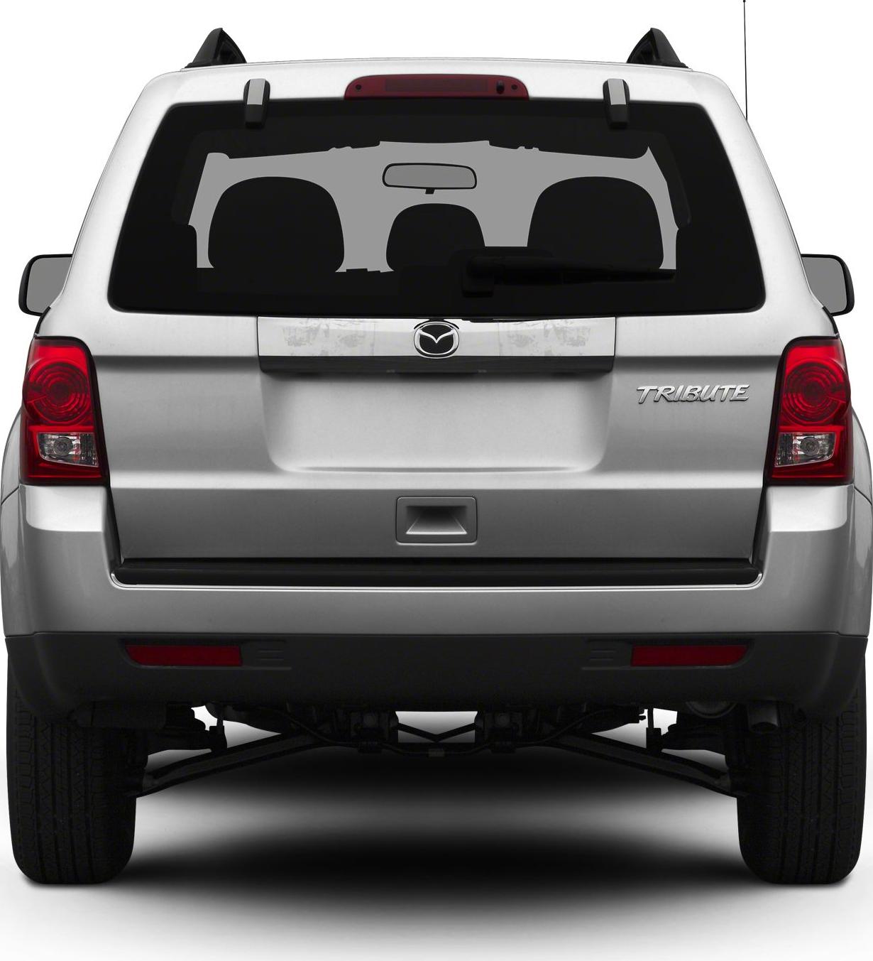 Rear view showing tailgate, taillights, rear window with wiper.