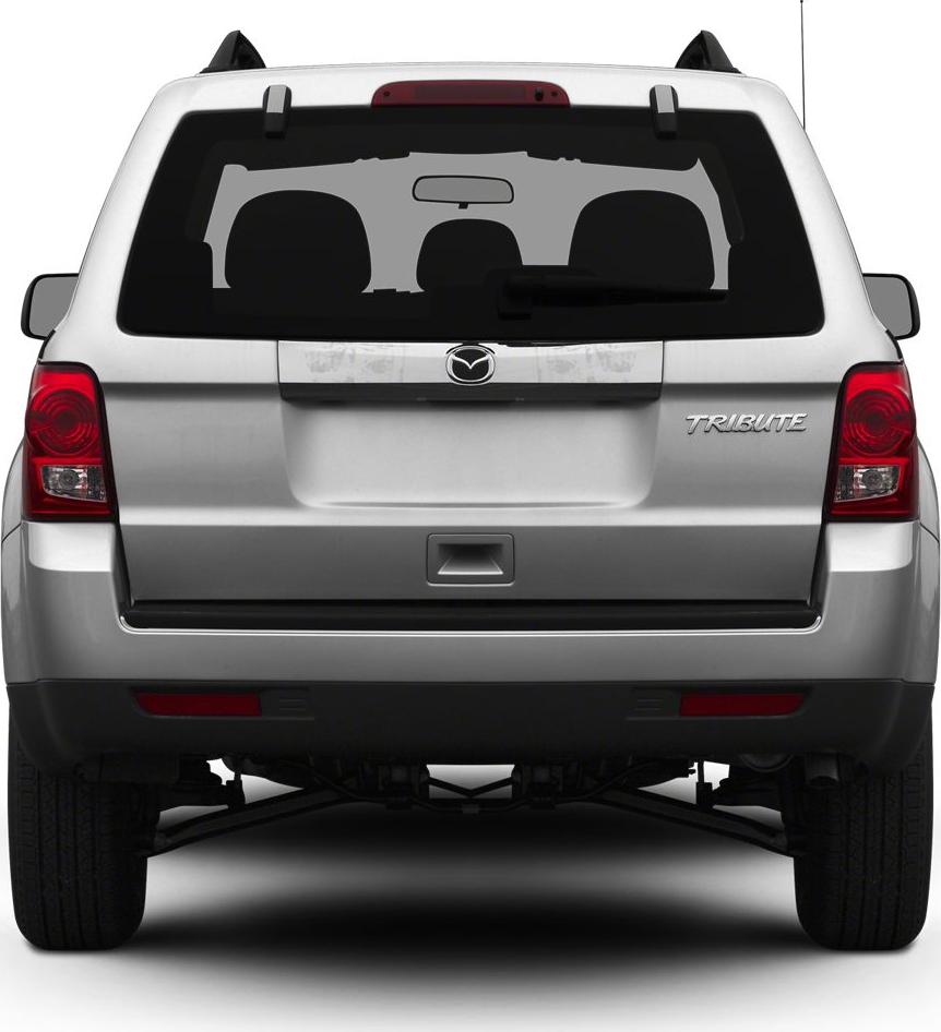 rear view