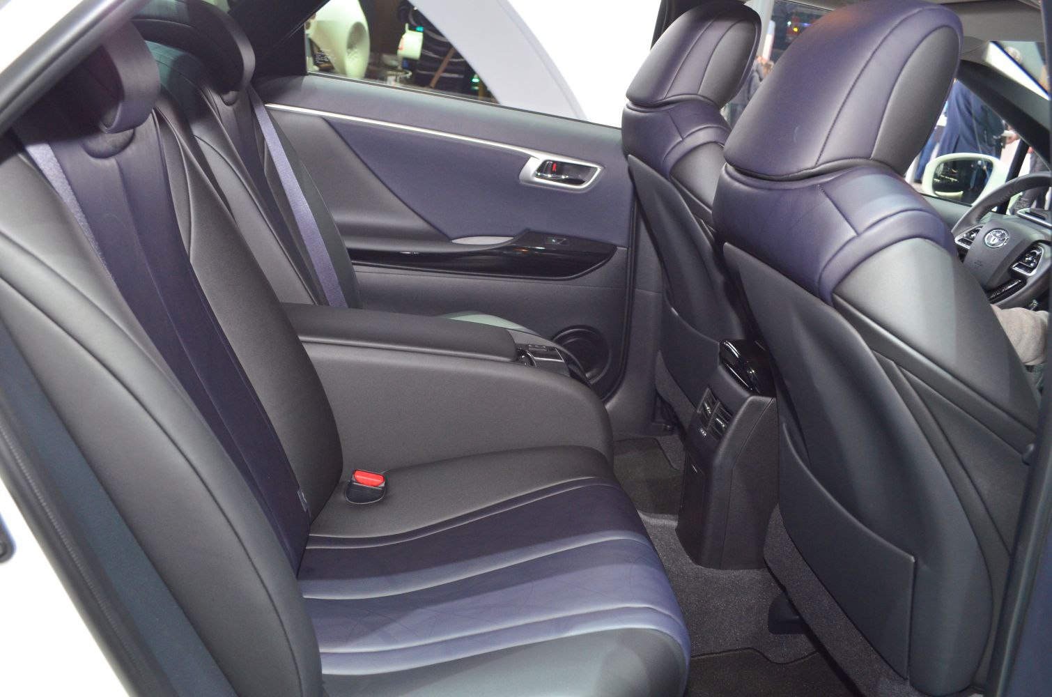 Rear leather seats and door panel with armrest and headrests