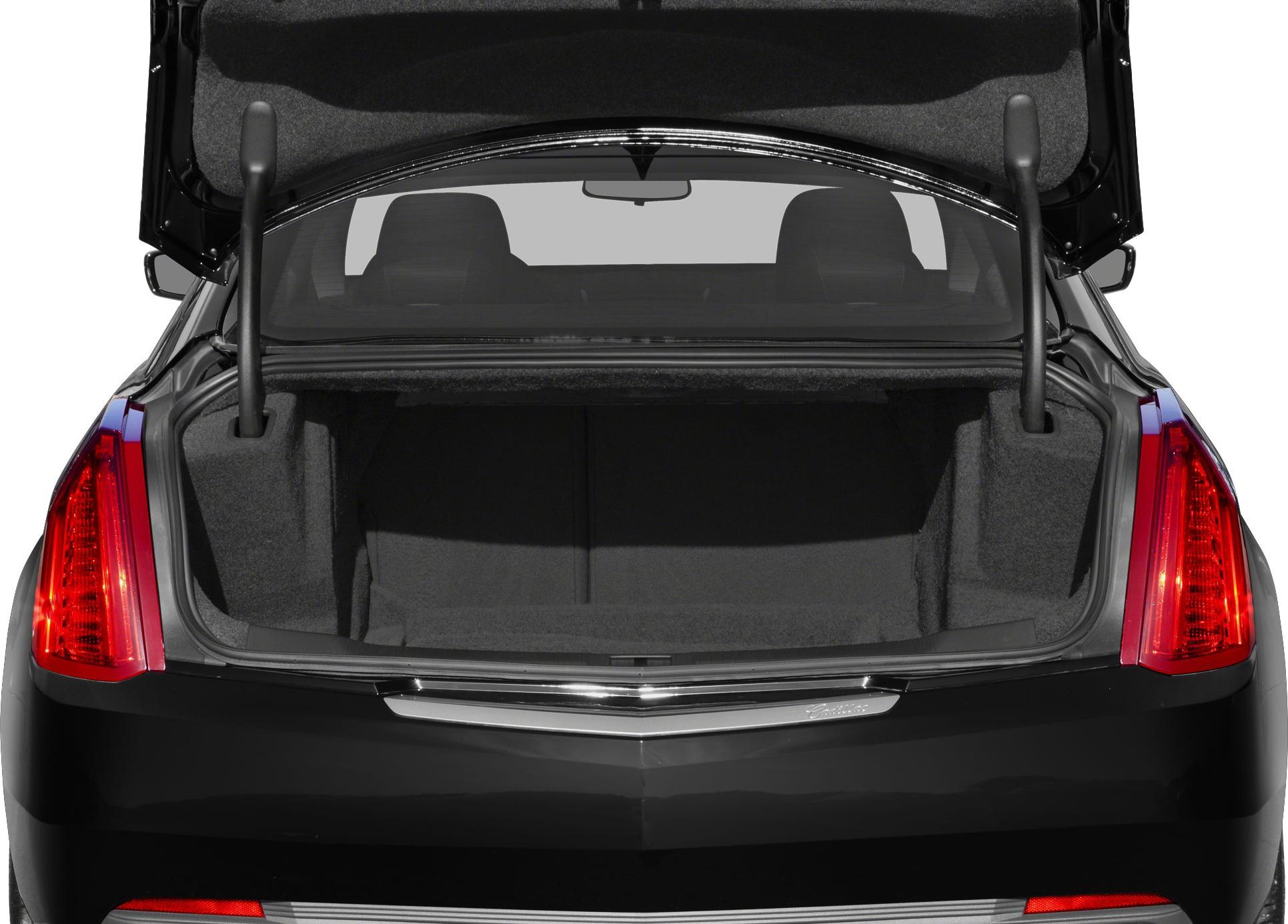 Open trunk with spacious cargo and rear lights