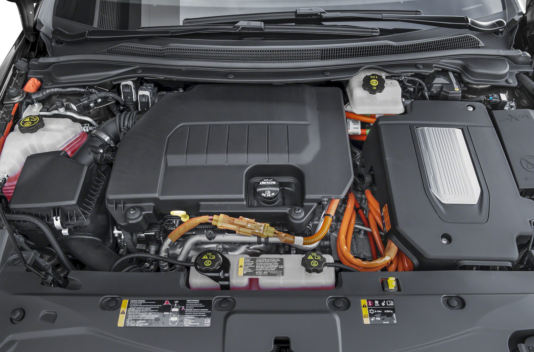 Electric hybrid engine bay with high-voltage orange cables and components