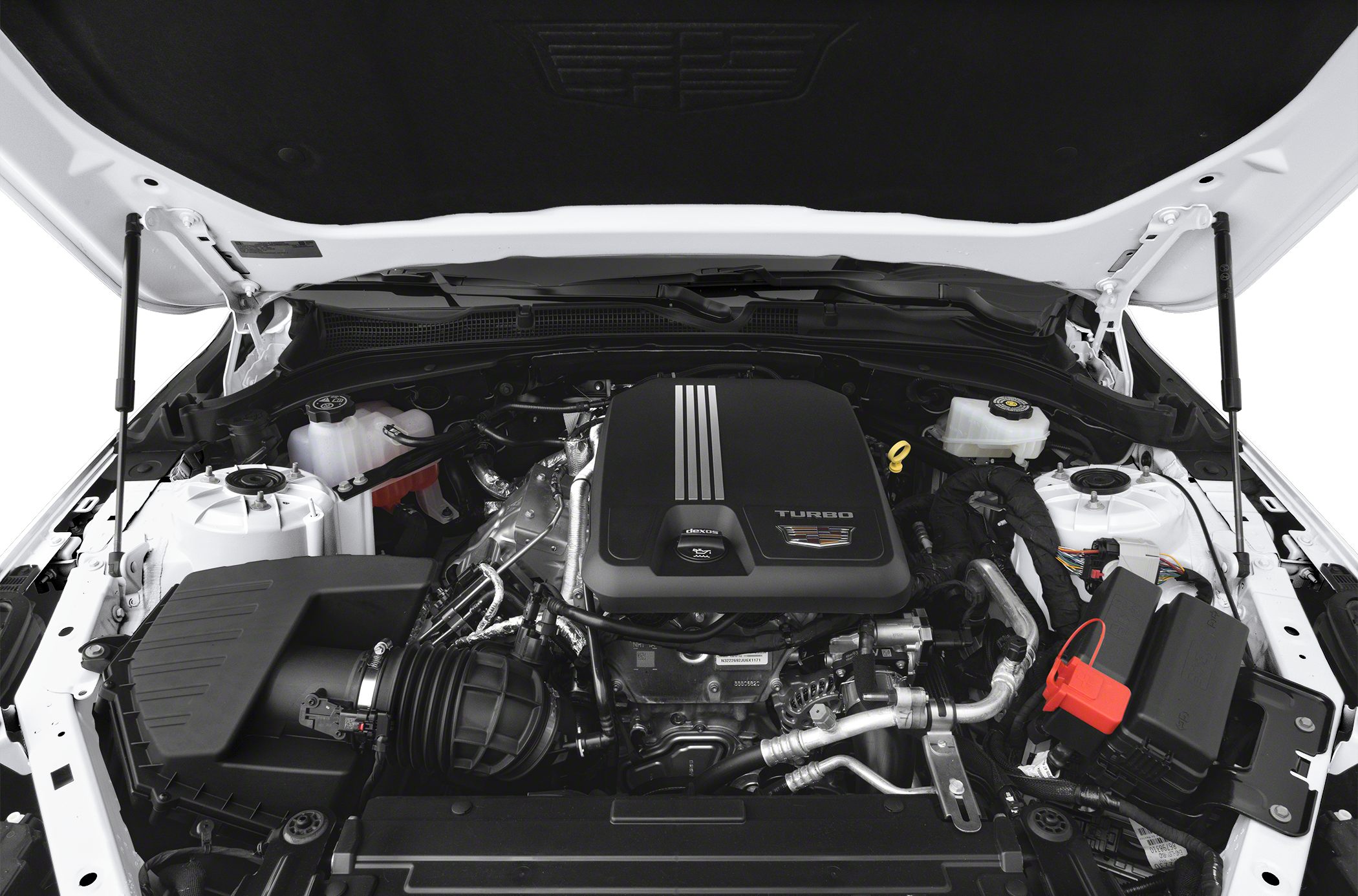 Turbocharged engine bay with detailed components and turbo emblem