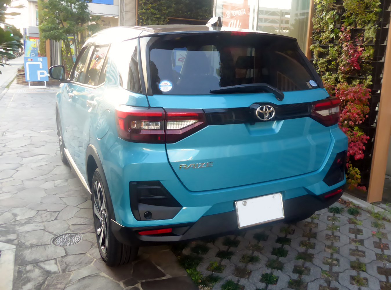 Compact SUV rear with distinctive tail lights and rear badge emblem