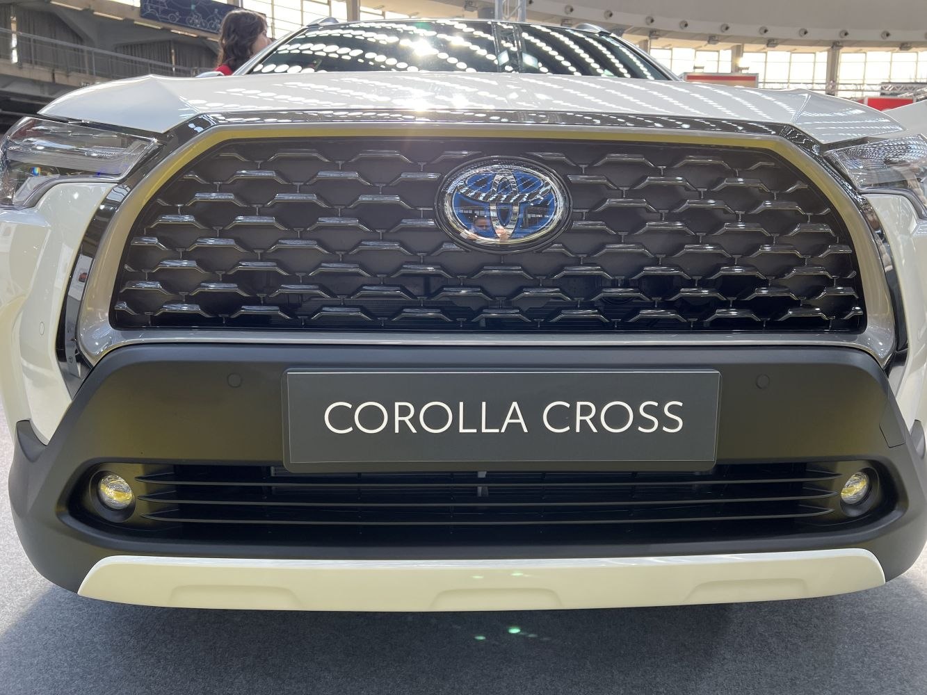 Close-up of front grille and badge with integrated fog lights