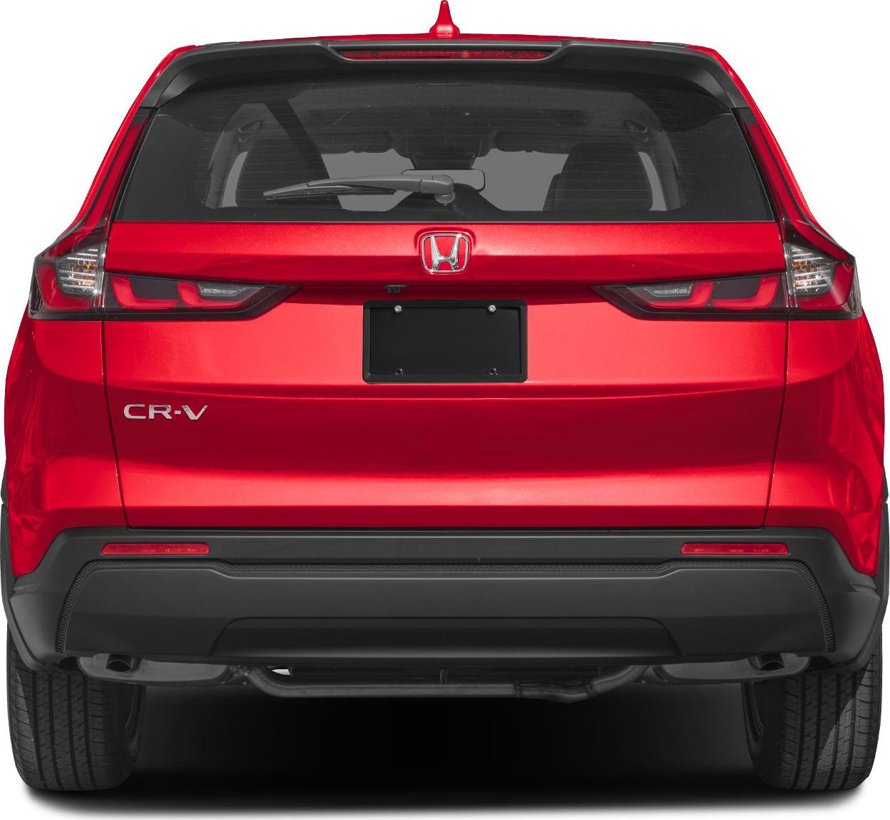 Rear design with taillights and rear windshield wiper