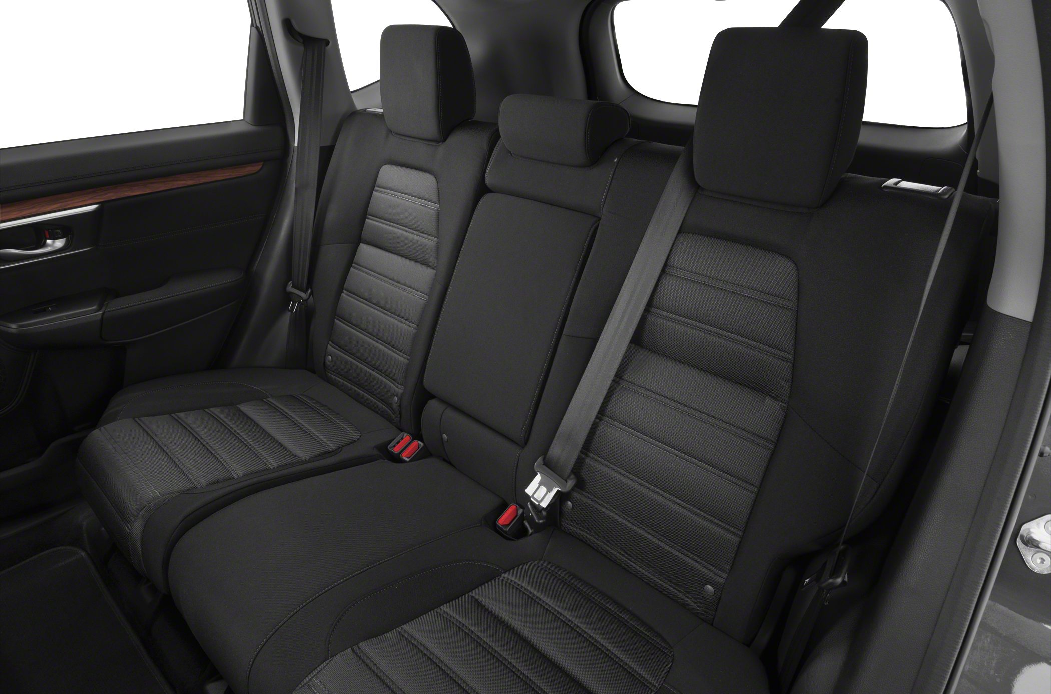 Black rear seats with headrests and seat belts