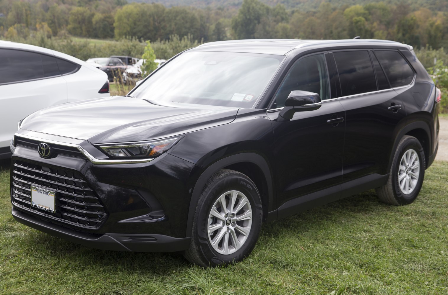 Black SUV with sporty grille, modern headlights, and alloy wheels.