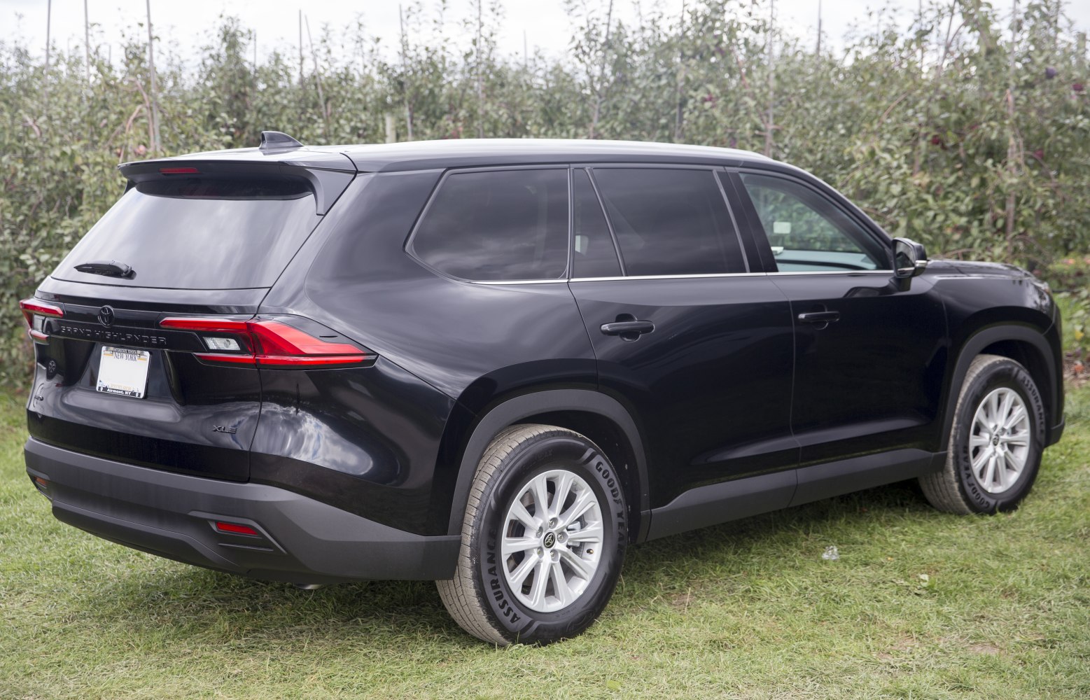 Rear and side view with distinct taillights and tinted windows