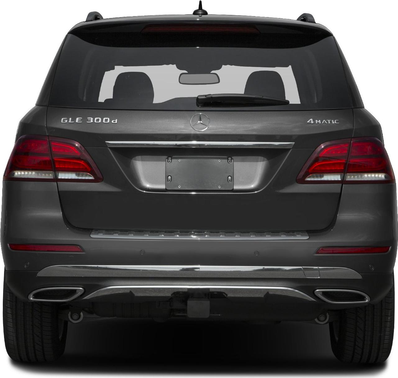 Rear view showing badges, tail lights, dual exhausts