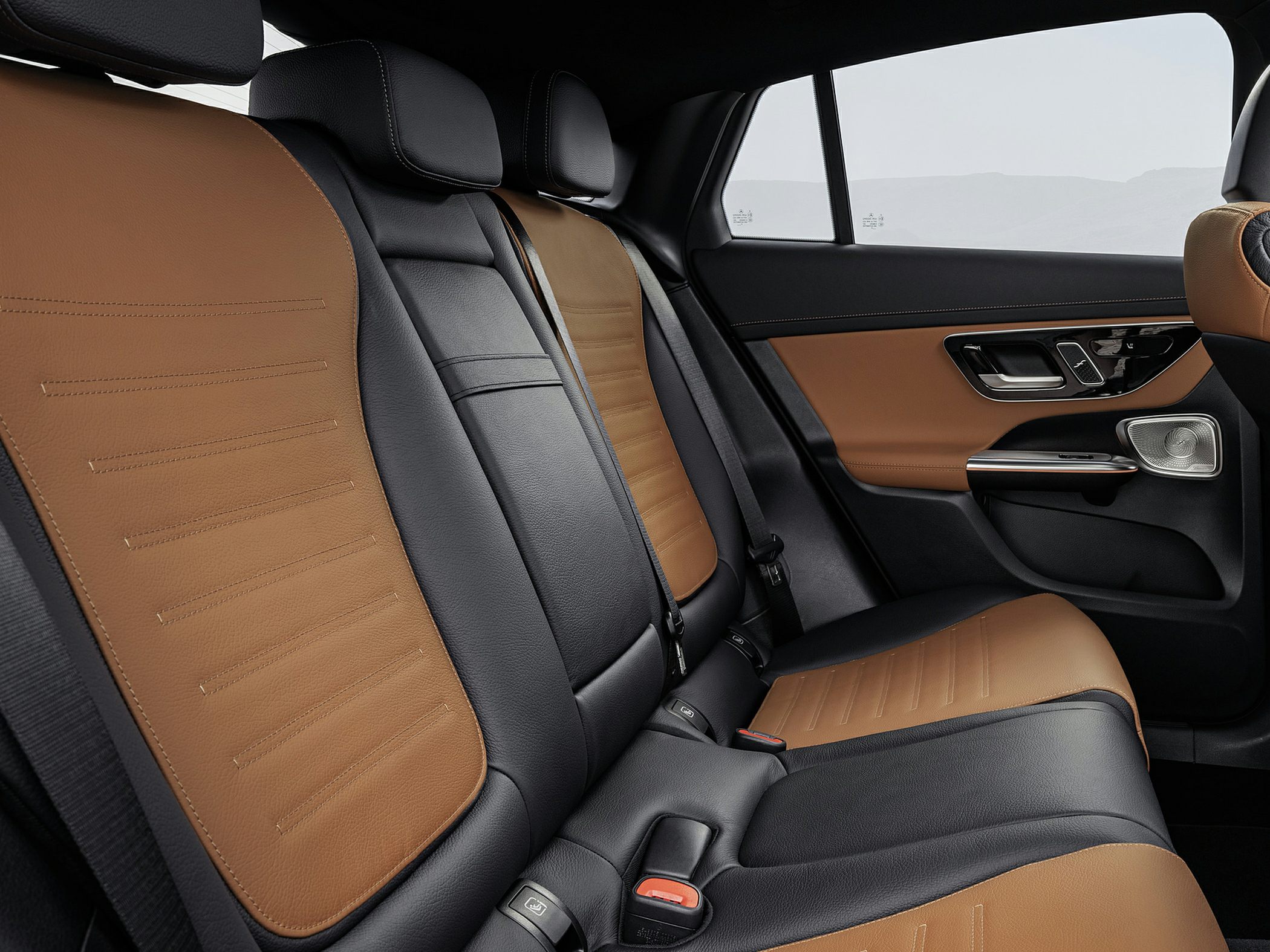 Two-tone leather rear seats with modern door panel and seat belts