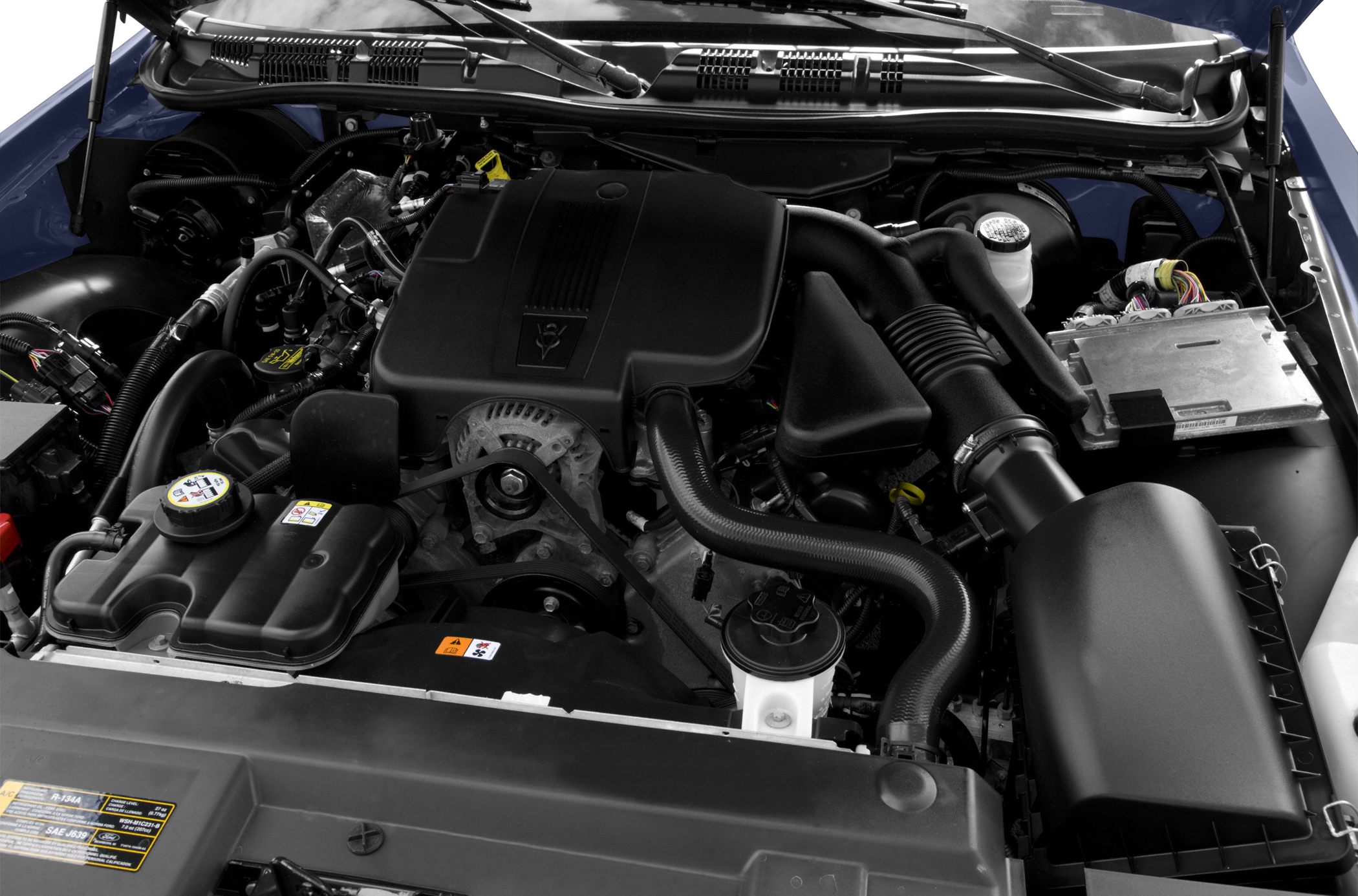 V8 engine bay with air intake and cooling system components