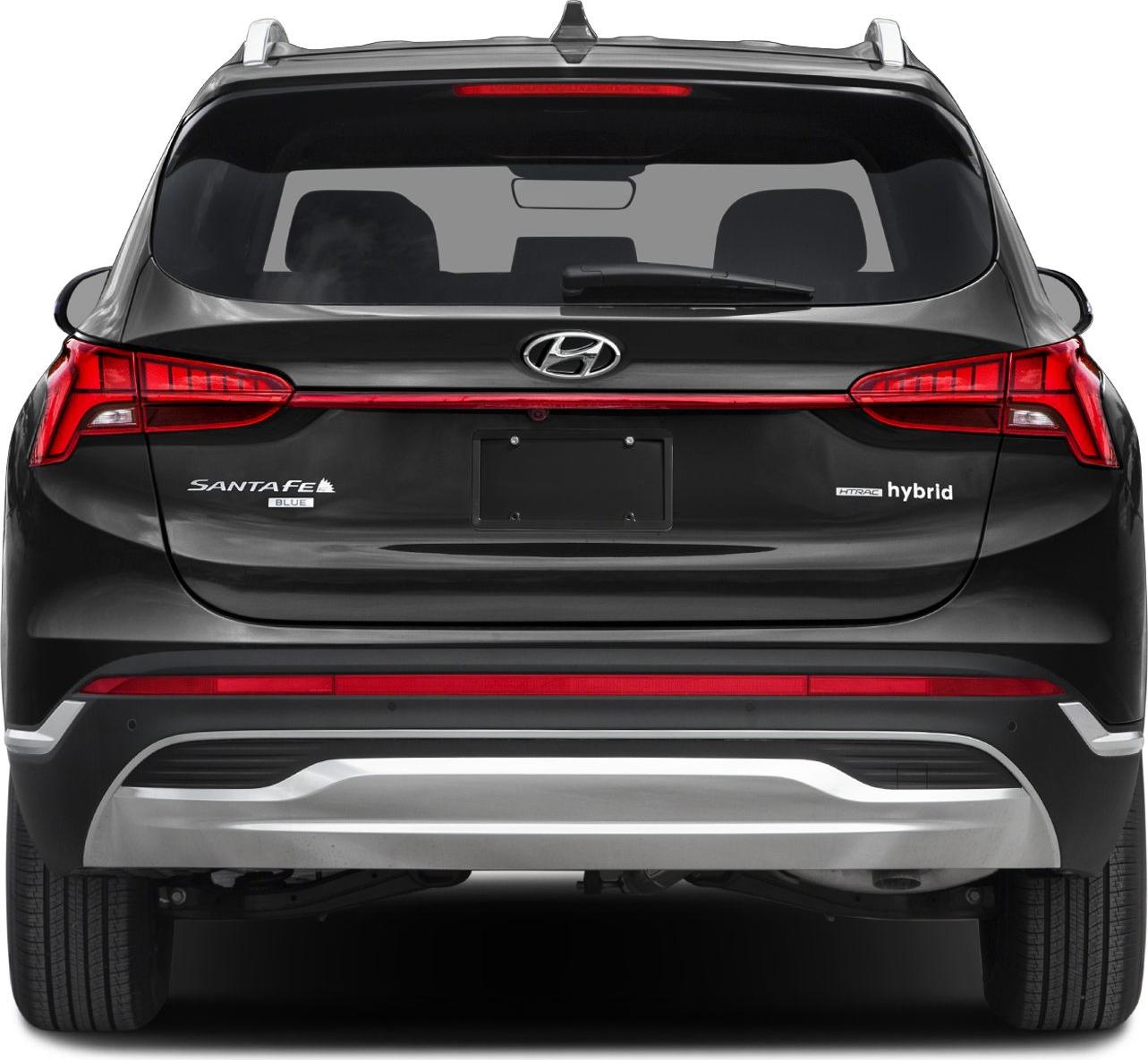 2021 Hyundai Santa Fe IV (TM, facelift 2020) Rear View