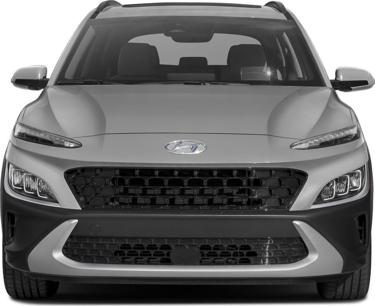 Close-up front view of grille and headlight design