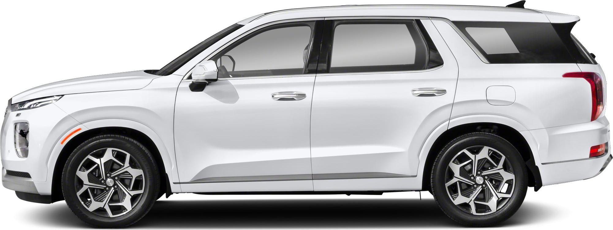 2020 Hyundai Palisade I Side View Left