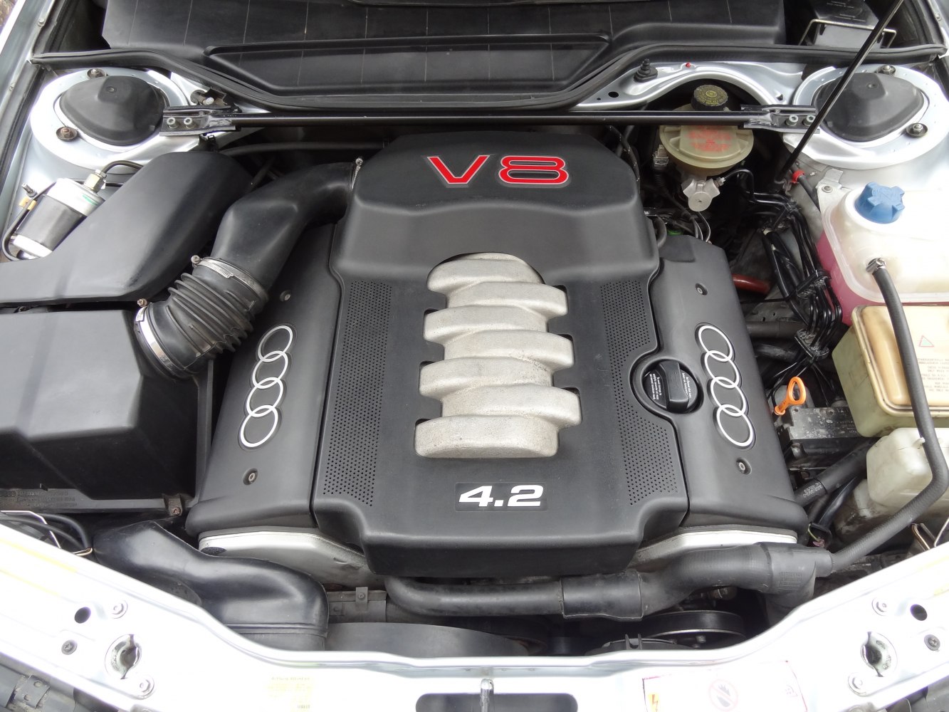 Clean V8 4.2L engine with Audi four rings logos and detailed engine components.
