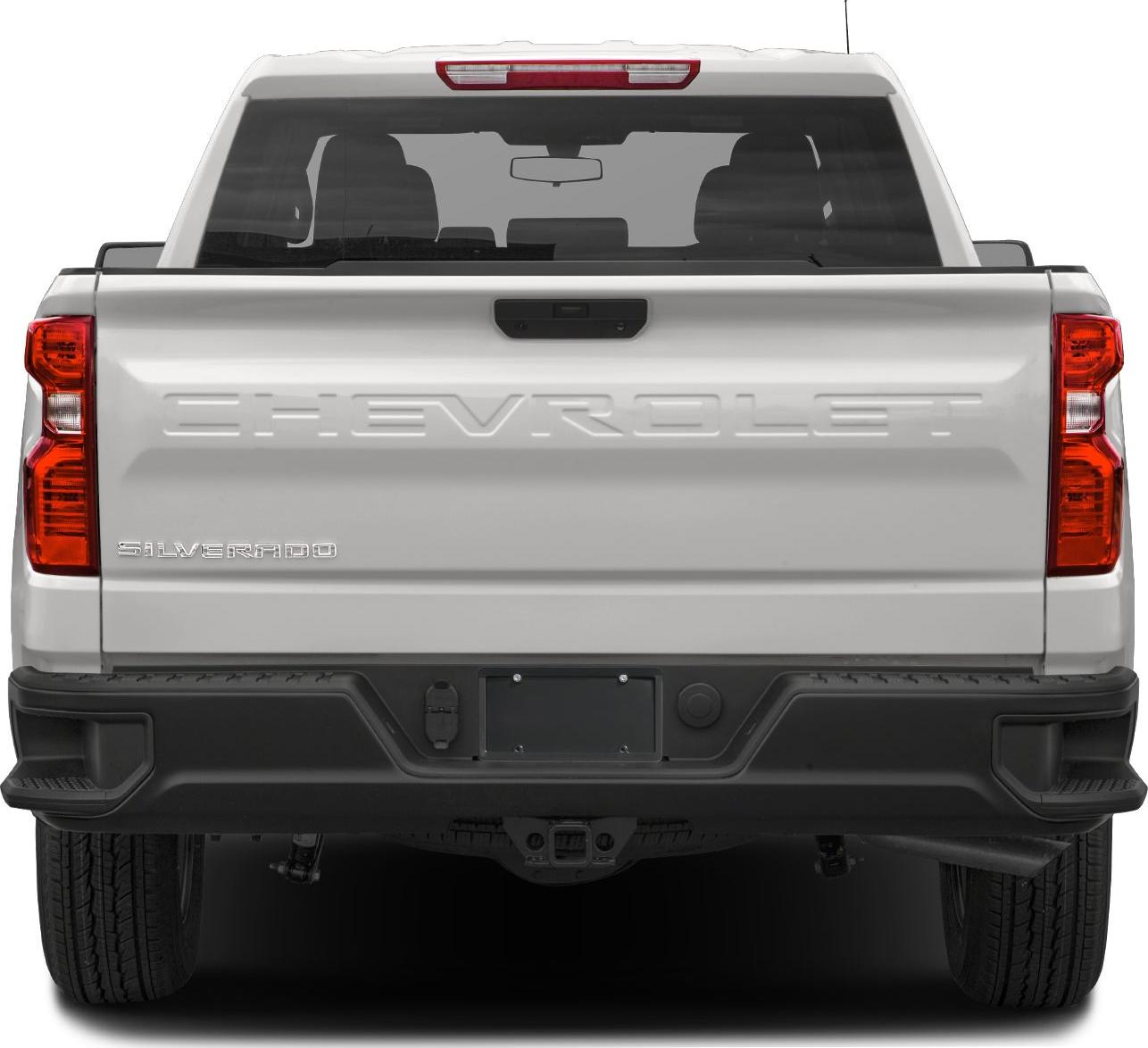 2019 Chevrolet Silverado 1500 IV Double Cab Rear View