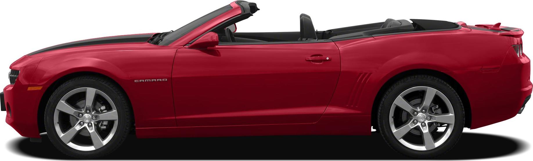 side view left