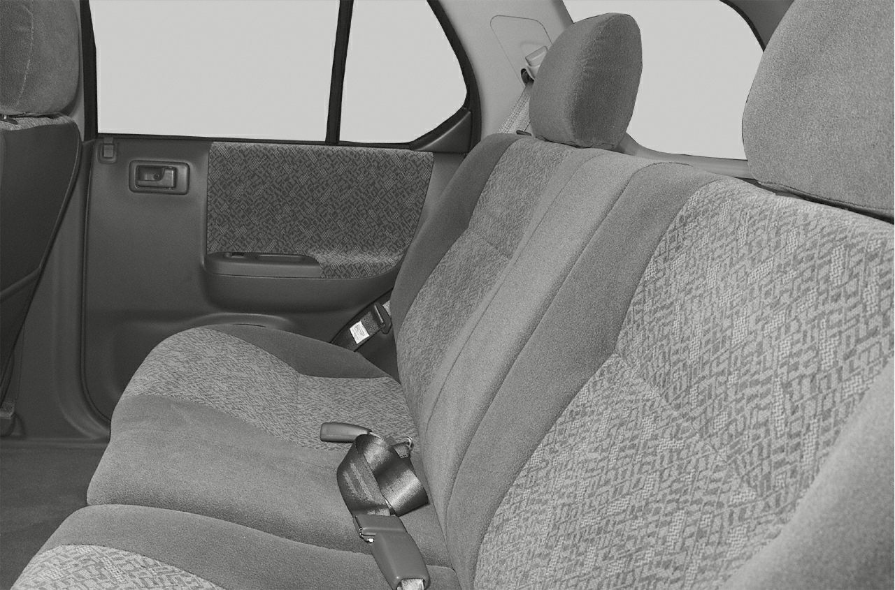 Rear seat upholstery and door panel with fabric pattern and seatbelt