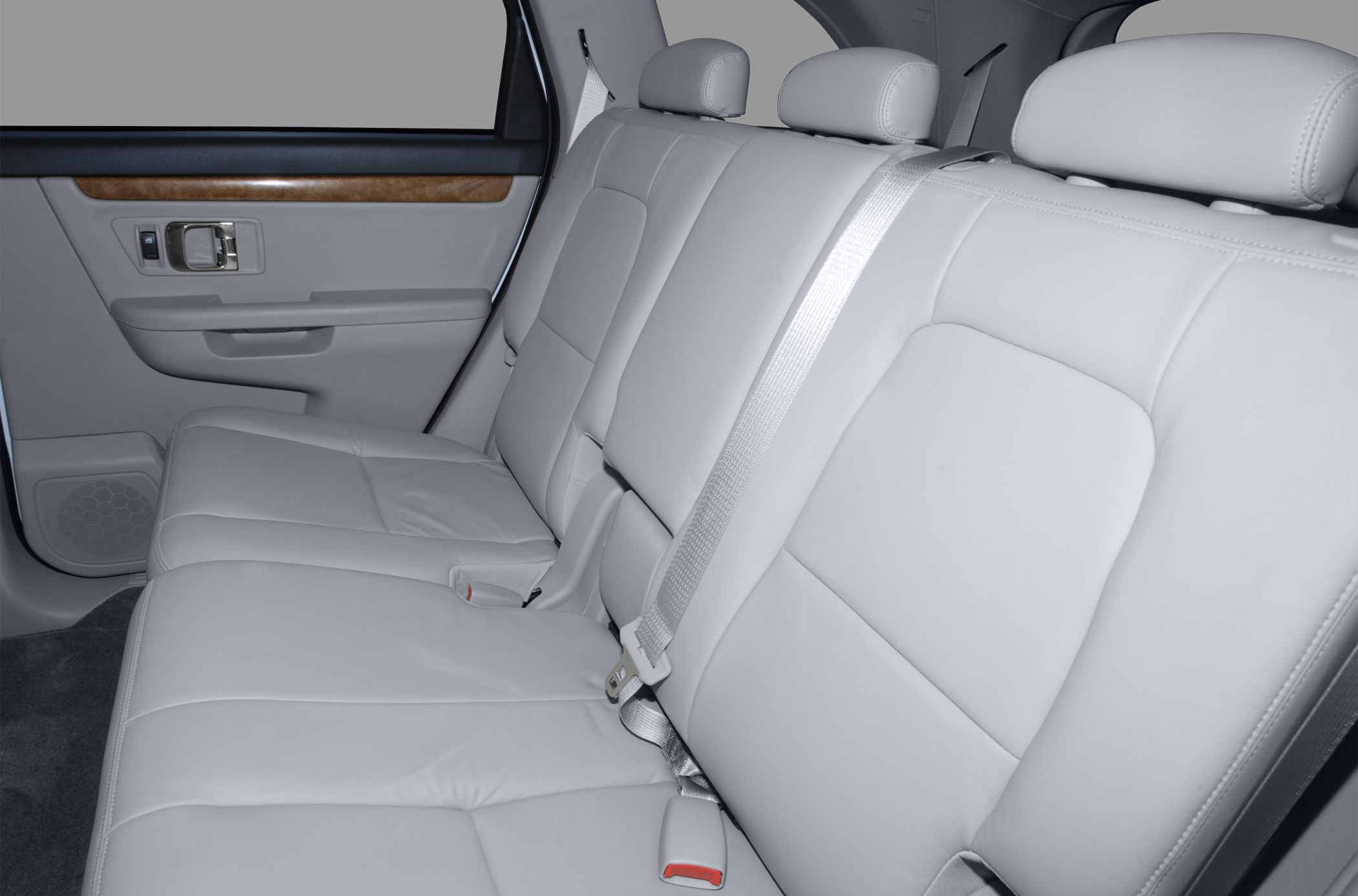 Rear leather seats with headrests and door panel detail