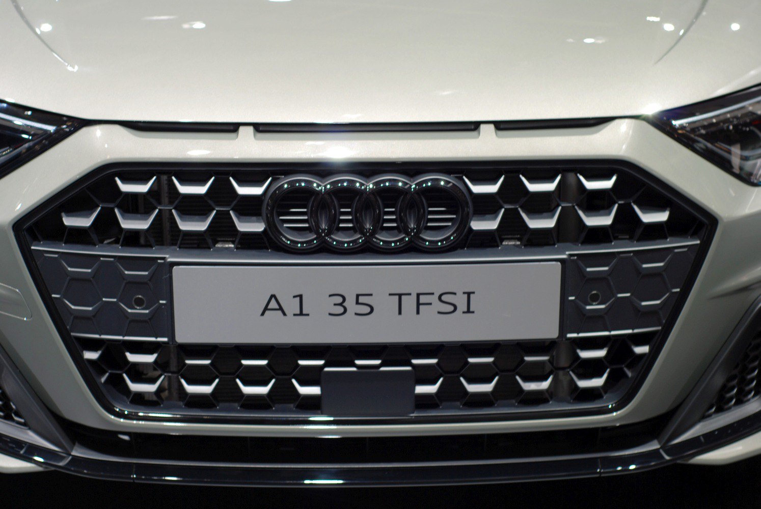 Honeycomb front grille with Audi rings and license plate