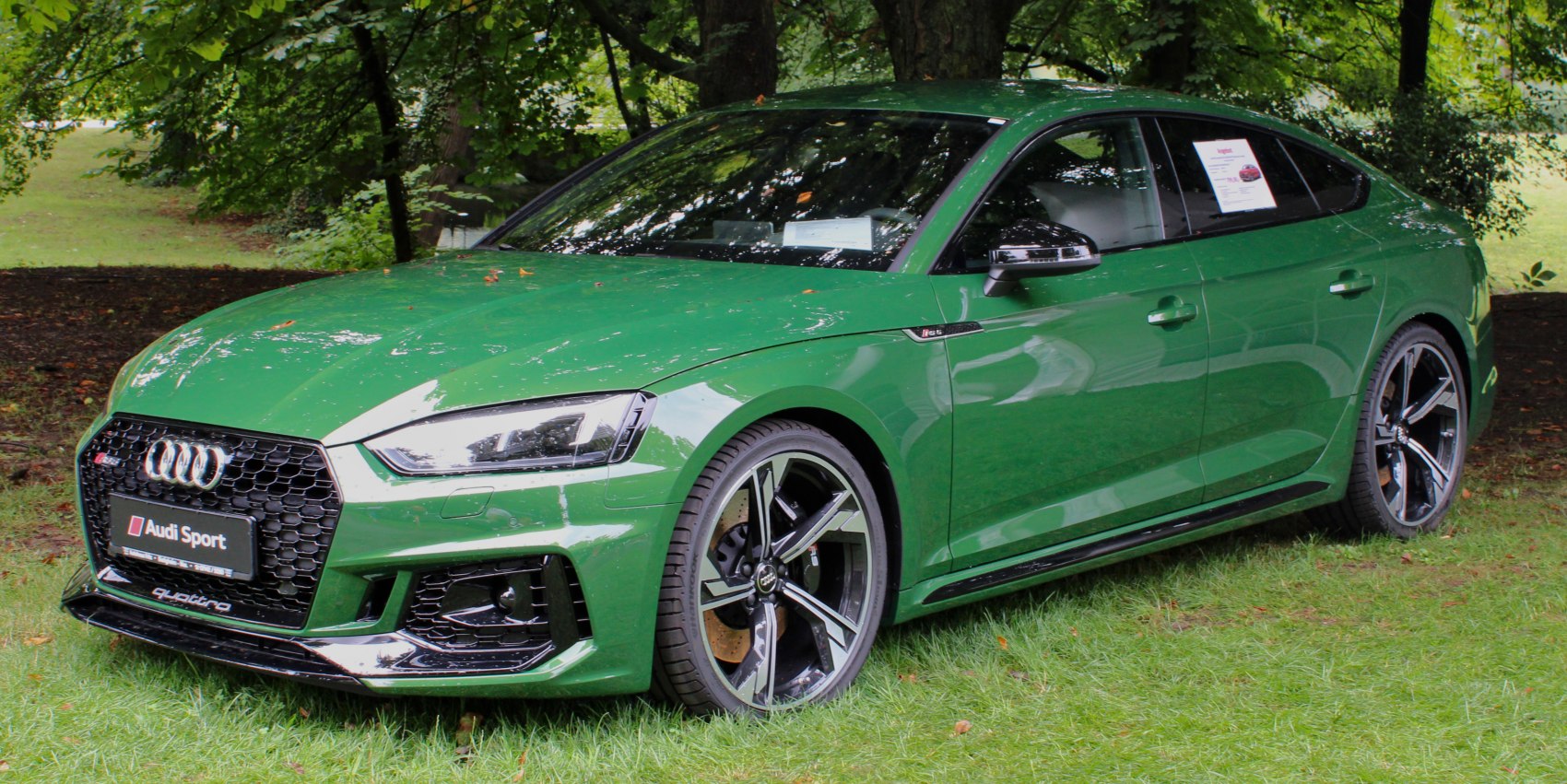 Green sportback with alloy wheels and honeycomb grille