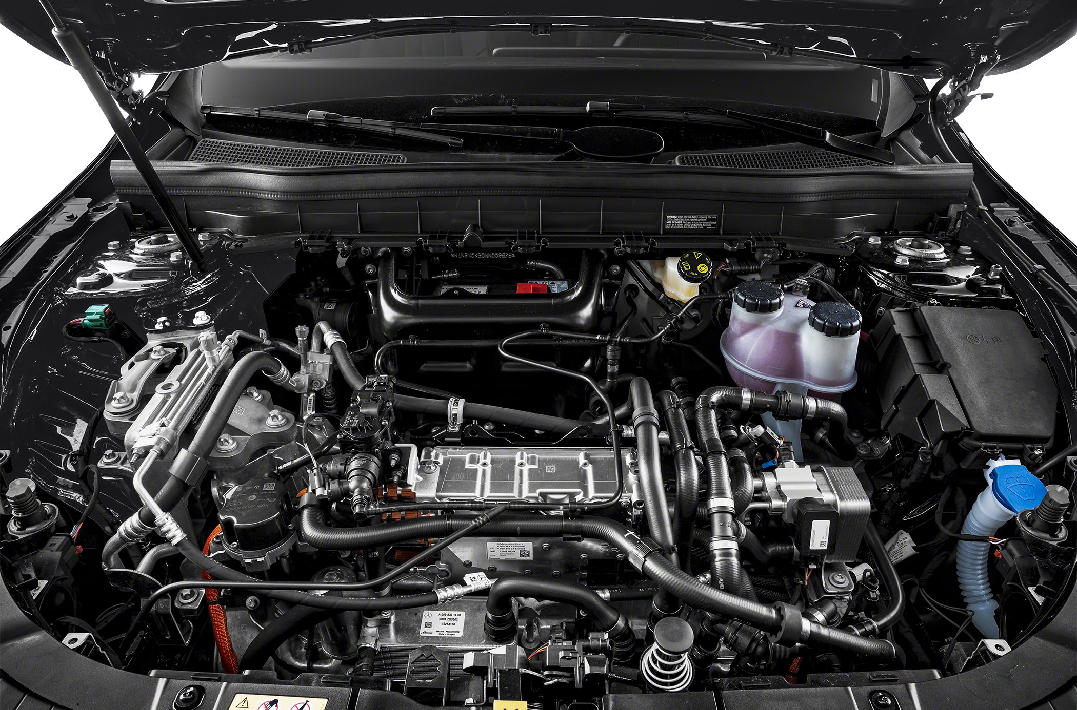 Electric powertrain and engine bay with wiring harness and fluid reservoirs