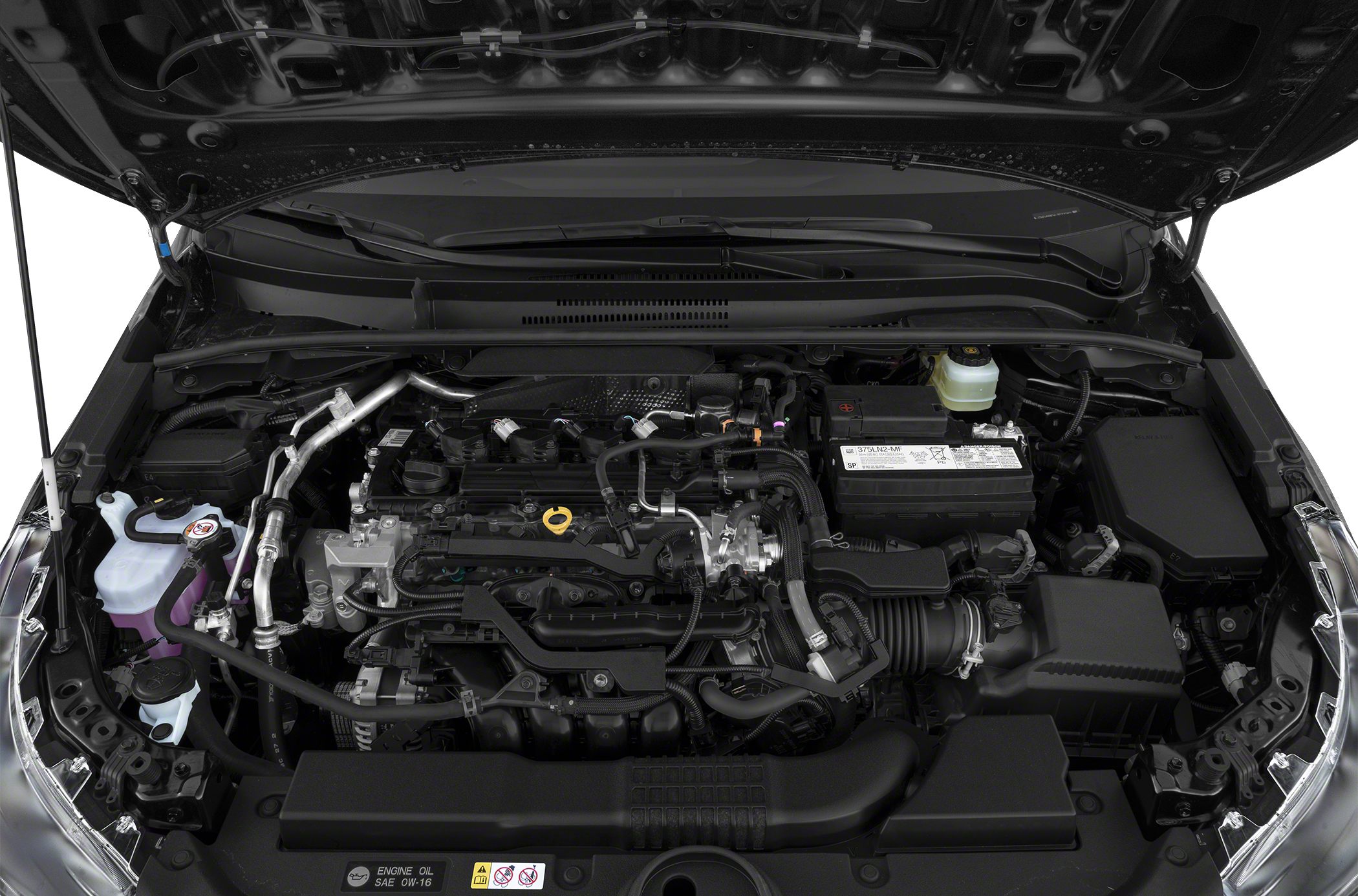 Engine bay showing various components and hoses under the hood