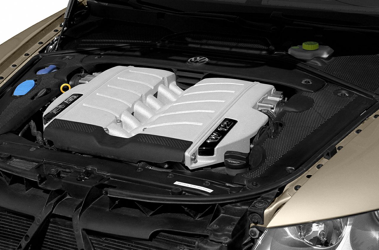 Detailed view of a powerful V12 engine under an open hood.
