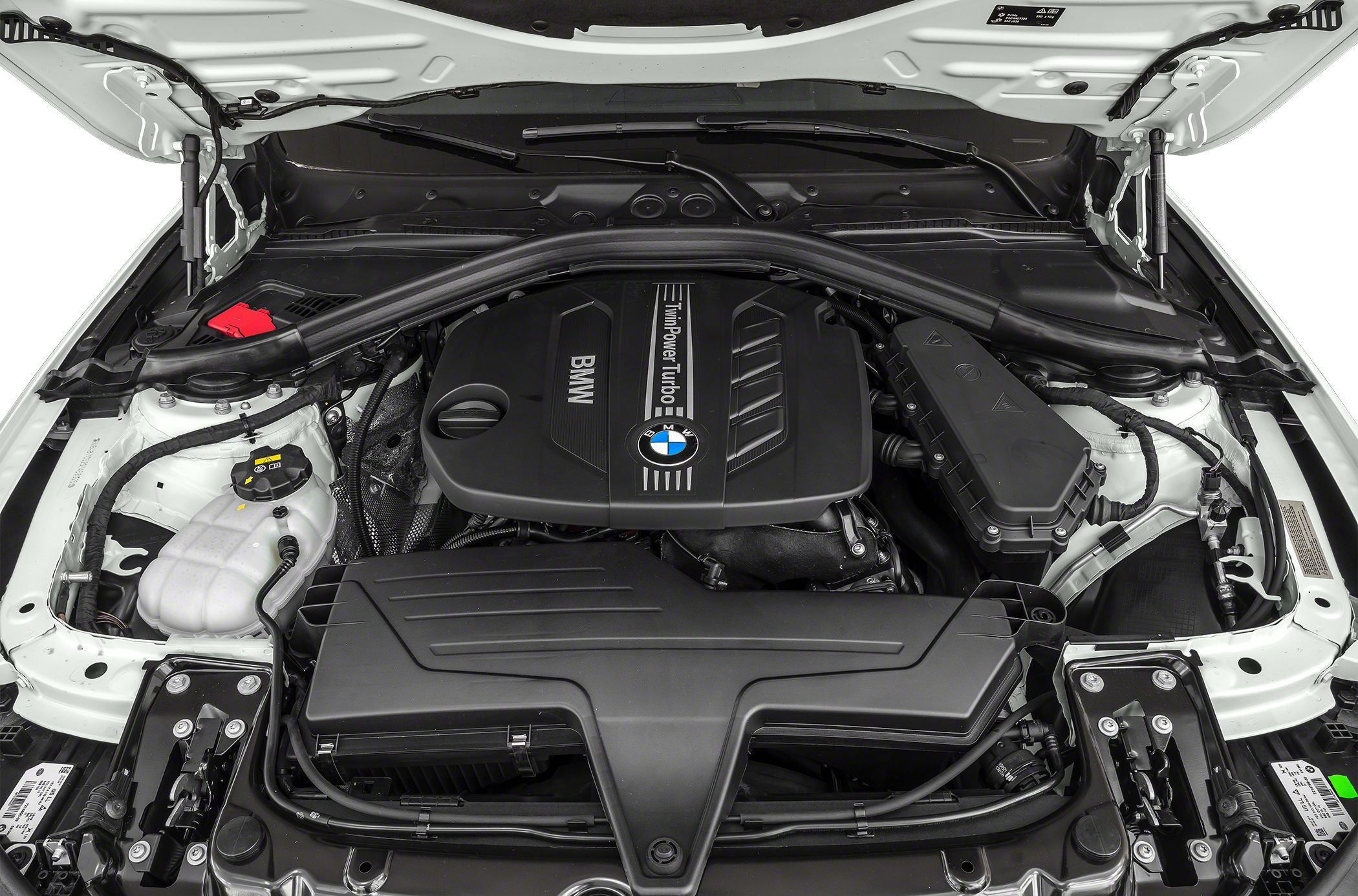 TwinPower Turbo engine in engine bay with structural strut brace