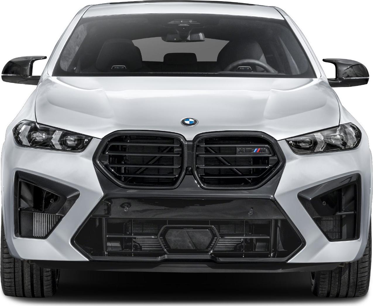 Black kidney grille and LED headlights front view.