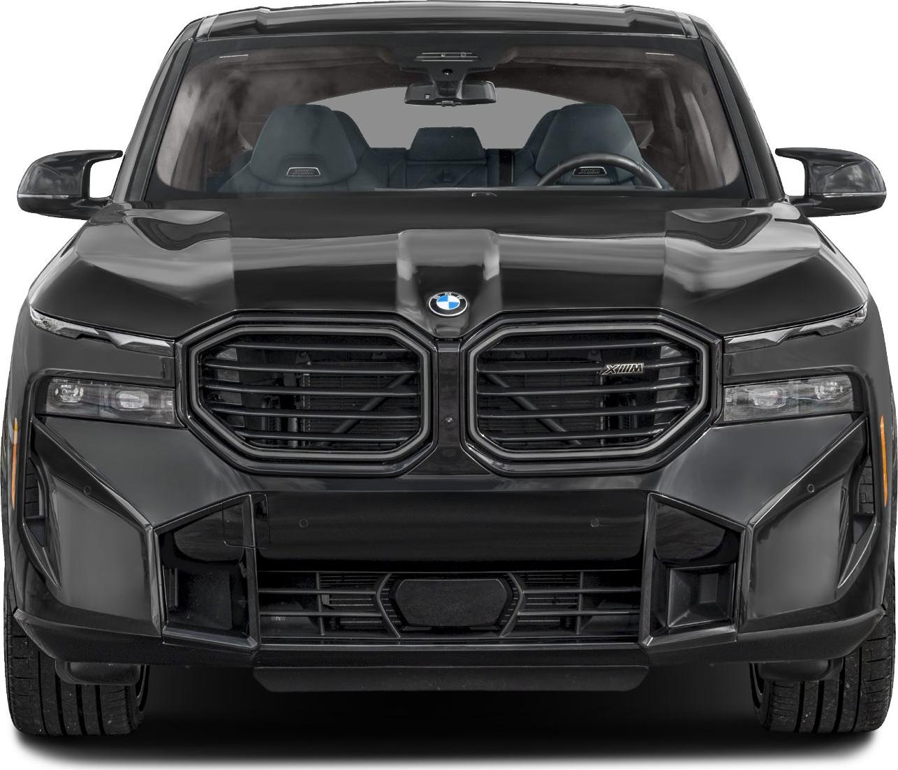 Bold kidney grilles and slim headlights on front fascia