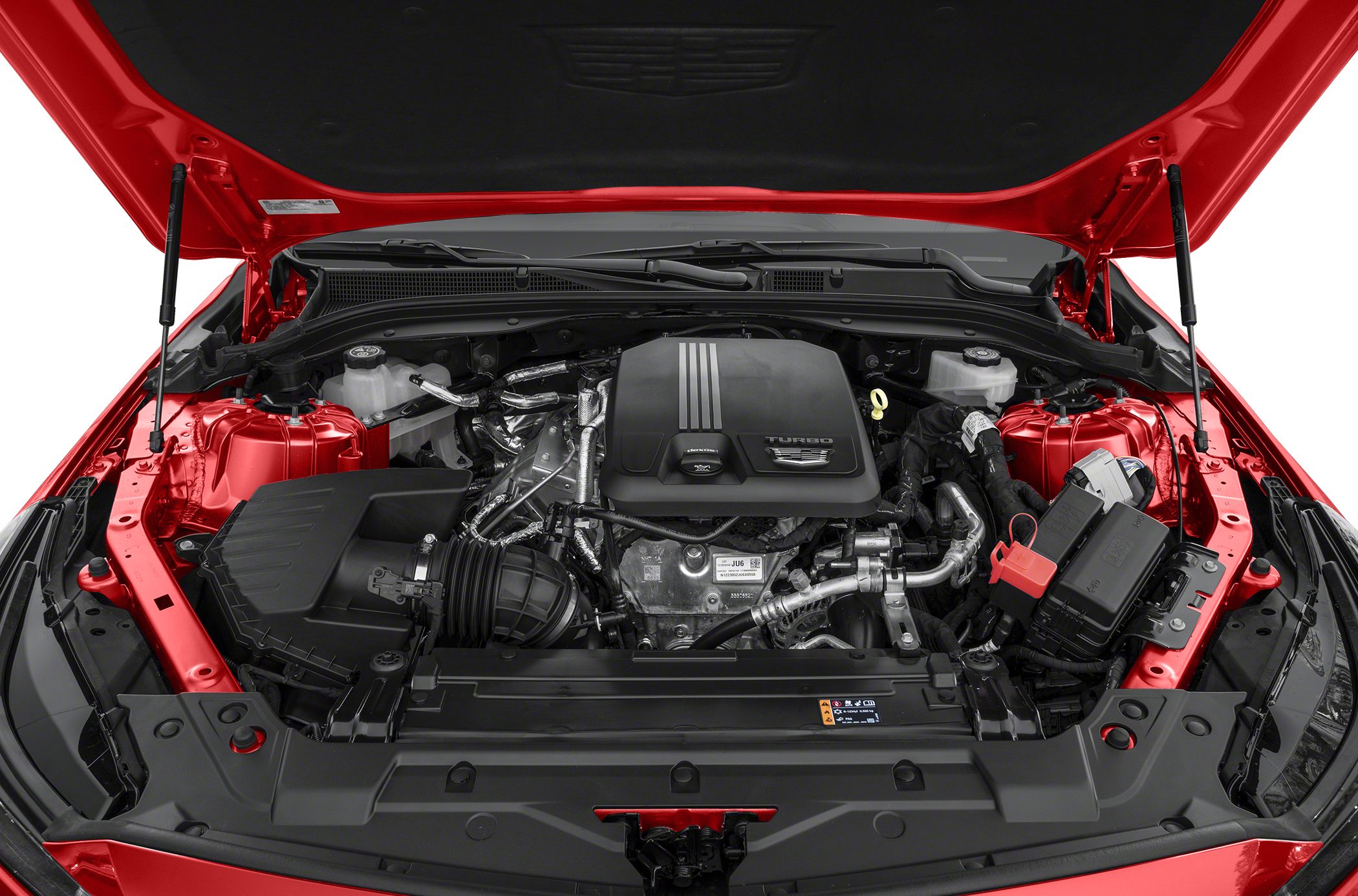 Turbocharged engine bay with modern layout and components.