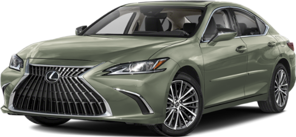 Front view with spindle grille and LED headlights