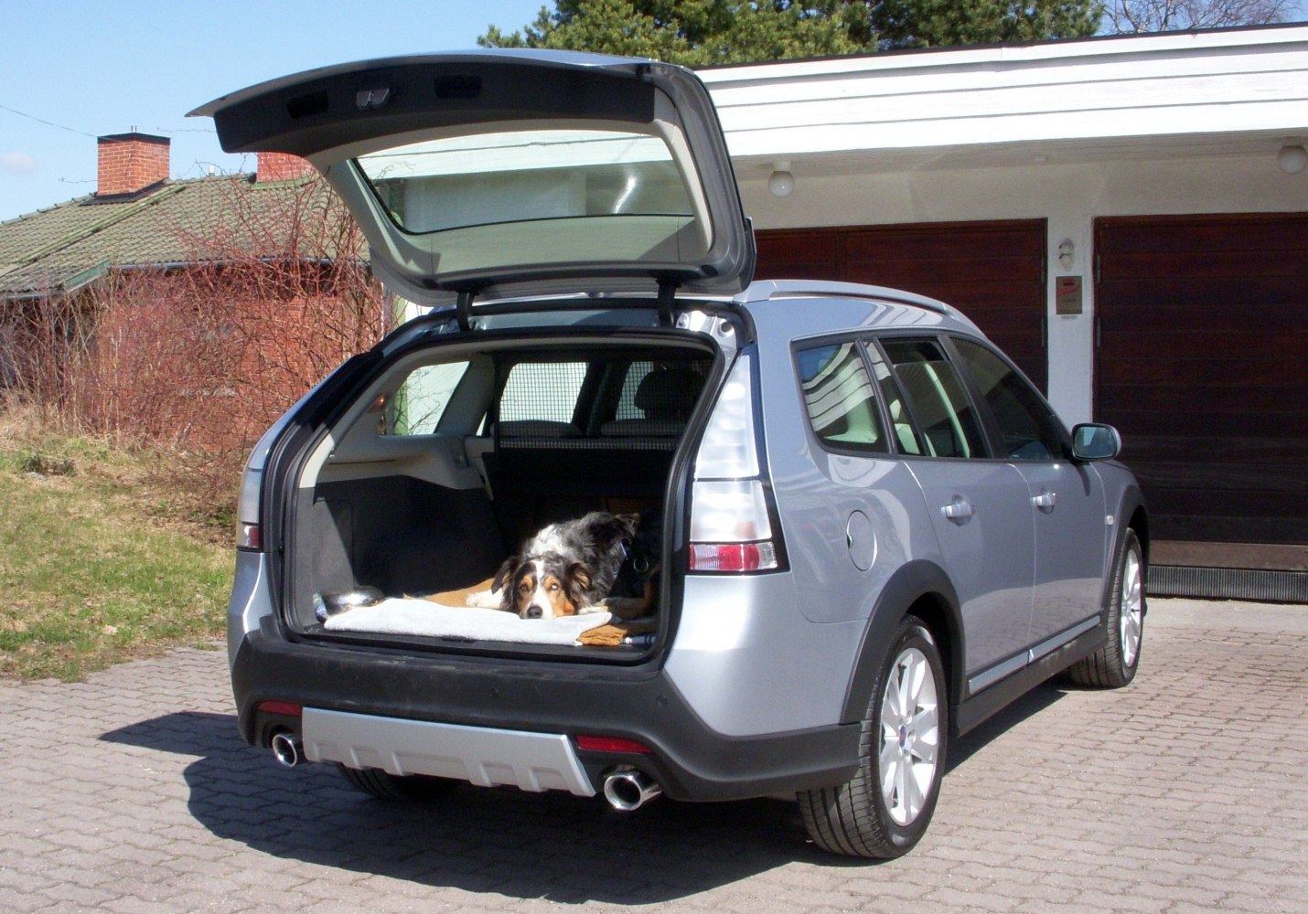 Station wagon rear hatch open with spacious trunk and dog inside