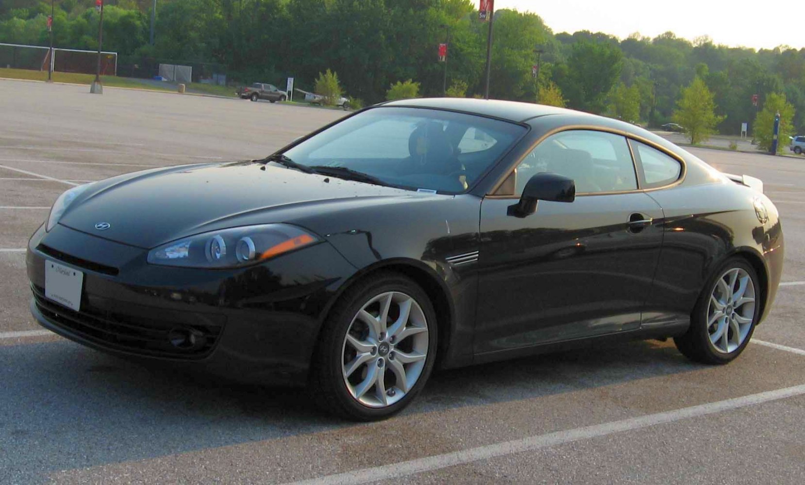 Sleek black sporty coupe with alloy wheels and smooth design