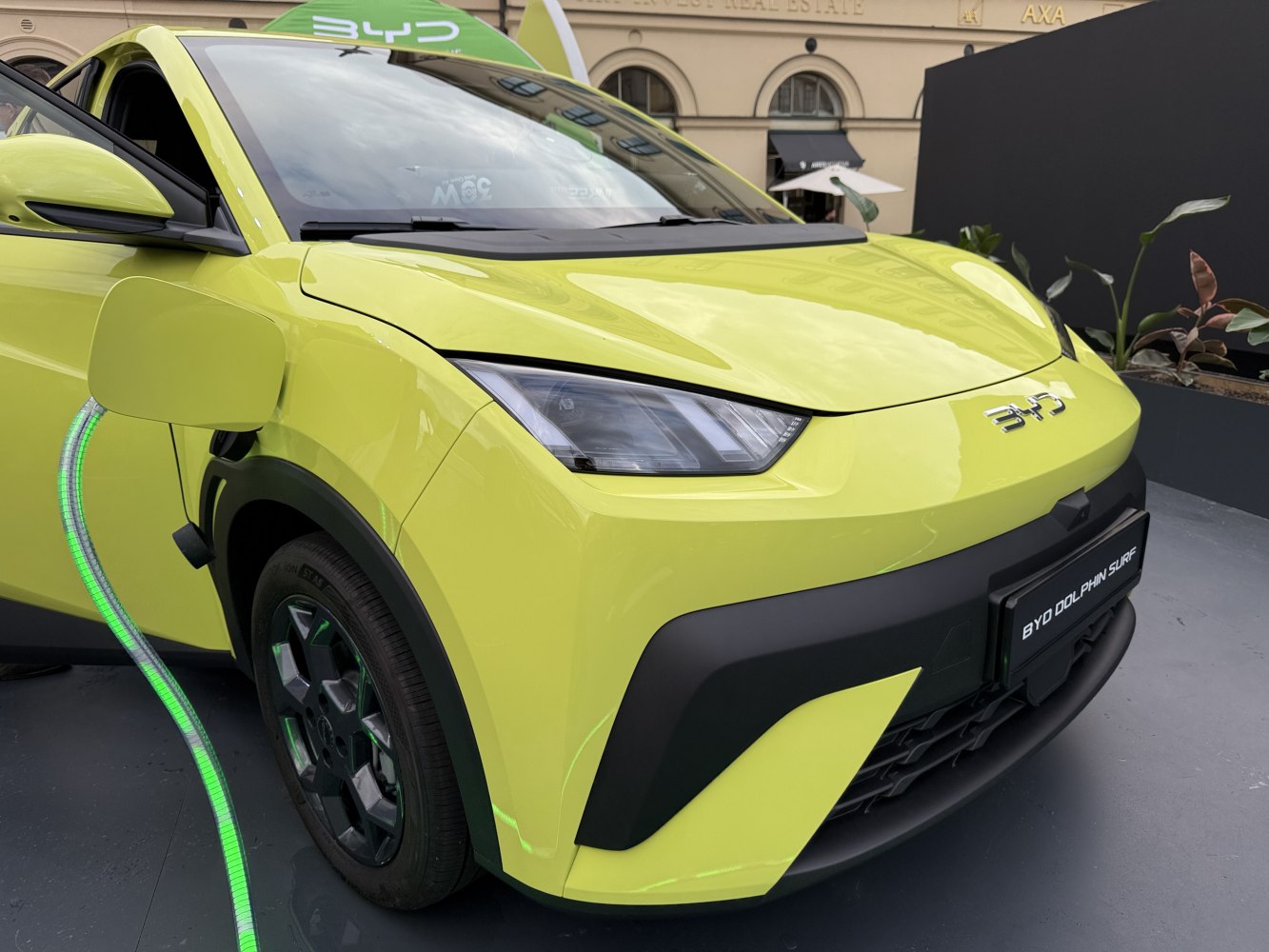 2025 BYD Dolphin Surf Preview