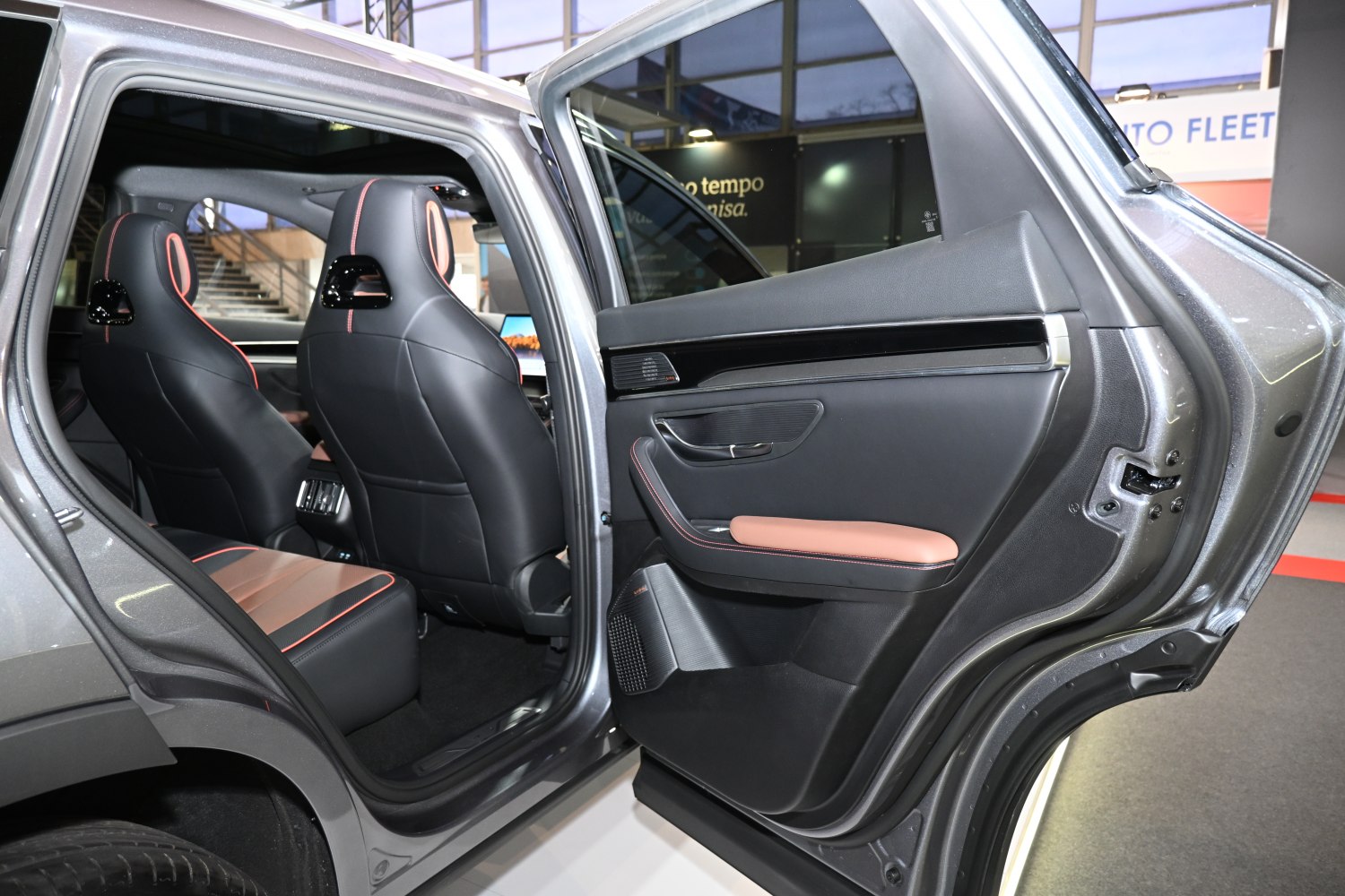 Rear passenger seats and door panel interior details