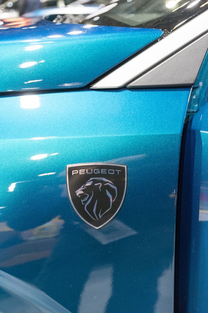 Close-up of car side emblem and door design