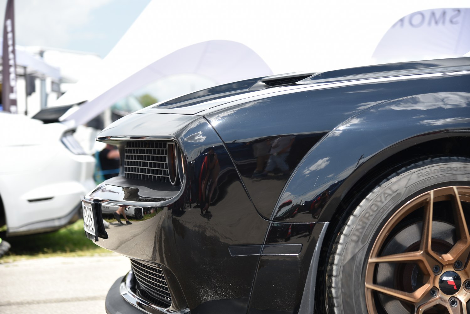 Close-up of front grille and bronze alloy wheel.
