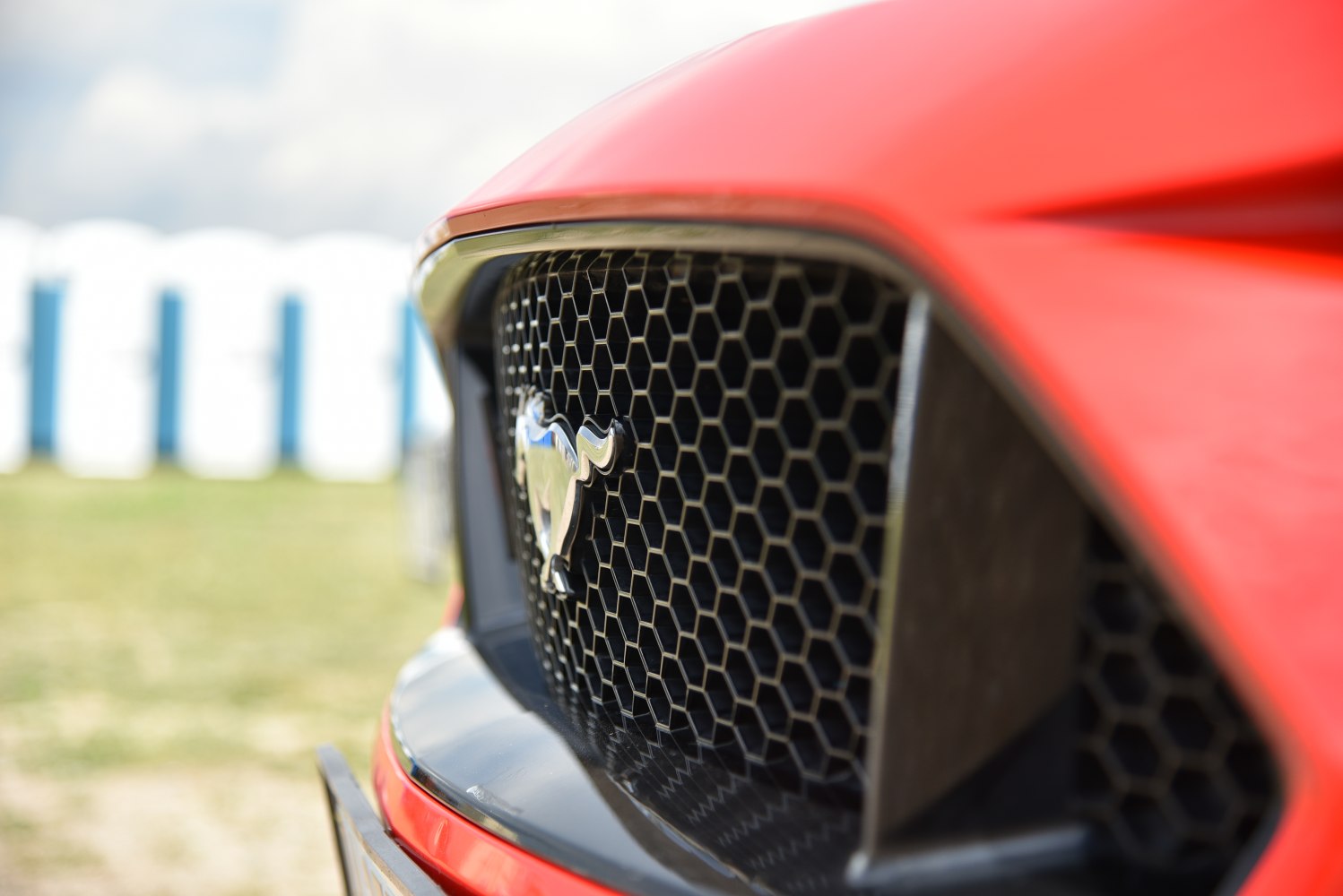Close-up of honeycomb front grille with horse emblem